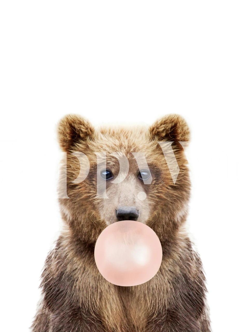 Brown bear wallpaper with pink bubble gum in room