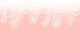 Calm Blush Palm Shade