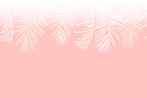 Calm Blush Palm Shade