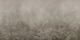 Jungle Mists - Sepia