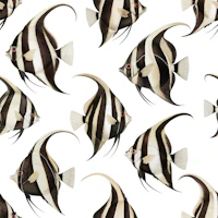 Spade The Fish wallpaper