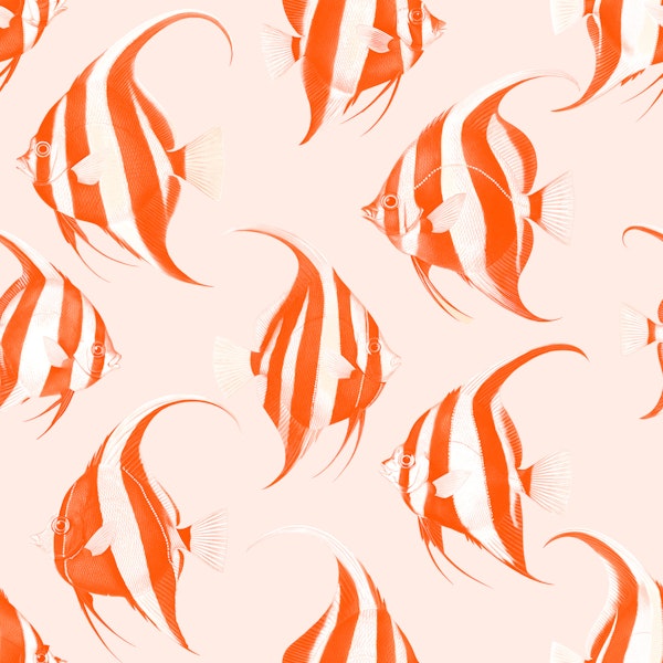 Spade The Fish 01