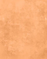 Marrakech dream big - gentle orange behang