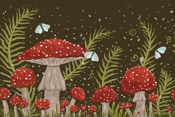Red Mushroom Forest