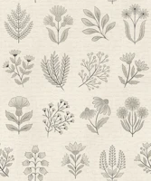 Vintage Botanical Herbarium - neutral wallpaper