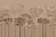 Misty Brown Woodland Silhouettes
