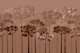 Misty Copper Woodland Silhouettes