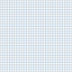 Light Blue Gingham Check