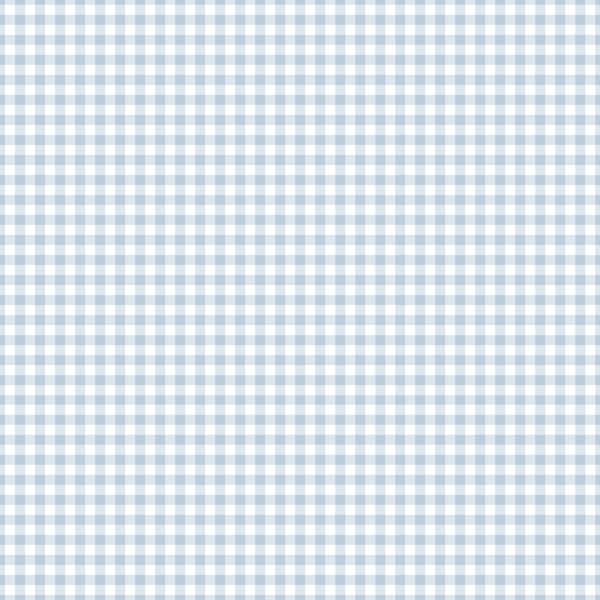 Light Blue Gingham Check