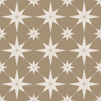 Boho Scandinavian Star Brown tapet