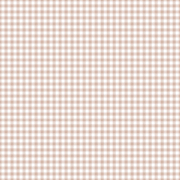 Light Pink Gingham Check