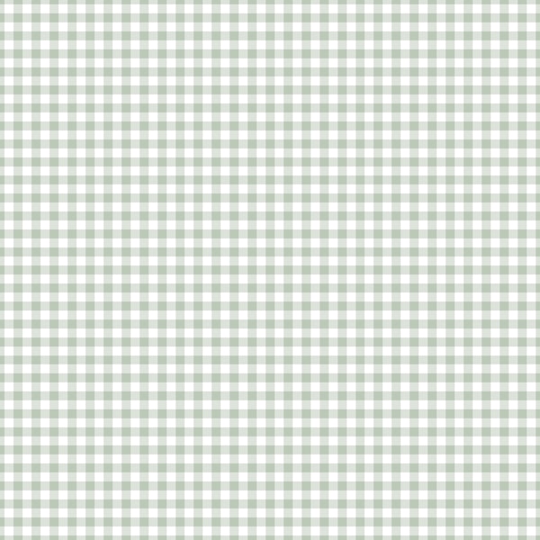 Light Green Gingham Check