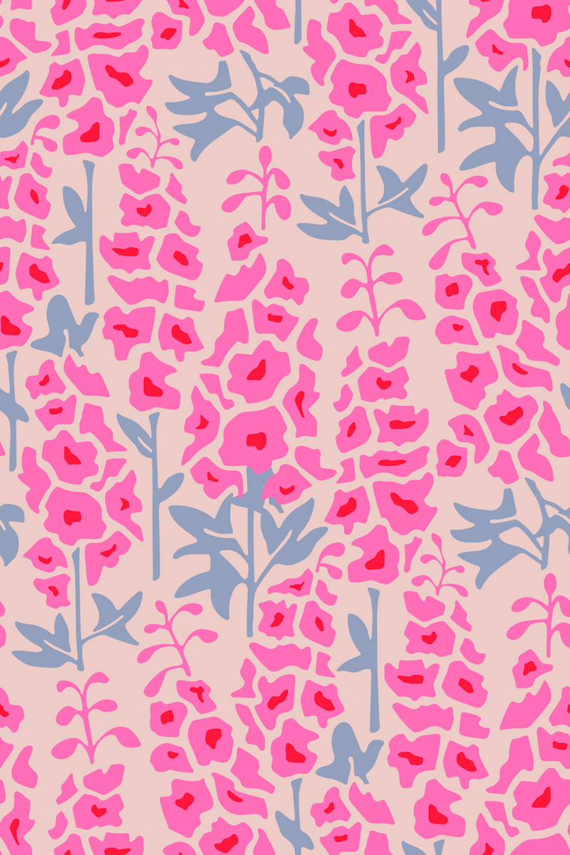gladiolas