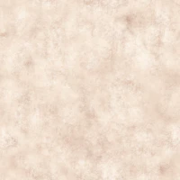 Painterly - Dried Sage tapete