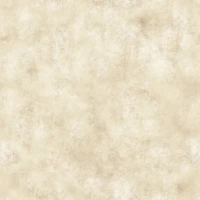 Painterly - Champagne tapete