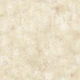 Painterly - Champagne