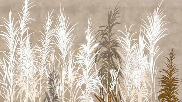 Neutral Pampas Grass Silhouette