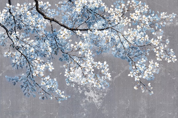 Blue Cherry Blossoms on Gray