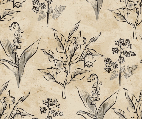 Enchanting Botanicals