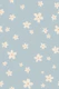 Simple Sweet Daisies - Blue Girls Room