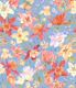 Aquilegia garden - 1