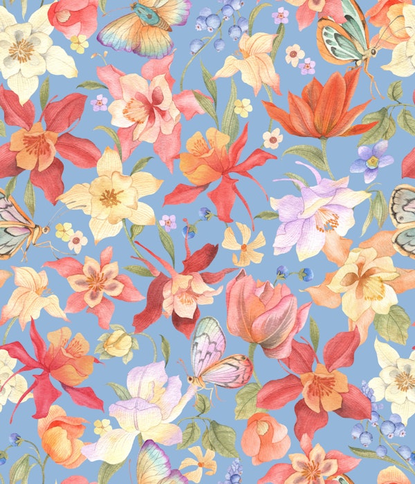 Aquilegia garden - 1