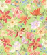 Aquilegia garden - 2