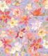 Aquilegia garden - 5