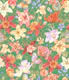 Aquilegia garden - 8