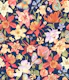 Aquilegia garden - 10