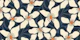 blossom cream on dark blue
