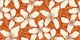 Blossom terracotta red