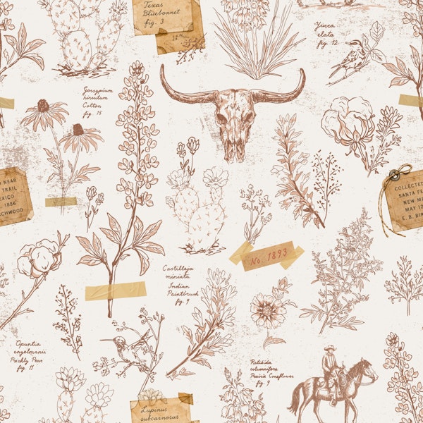 Texas Wildflower Field Notes