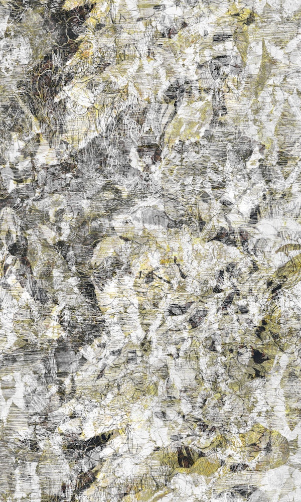 japoaerial