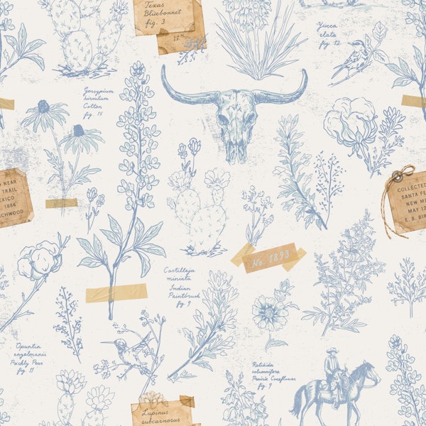 Vintage Texas Wildflower Notes