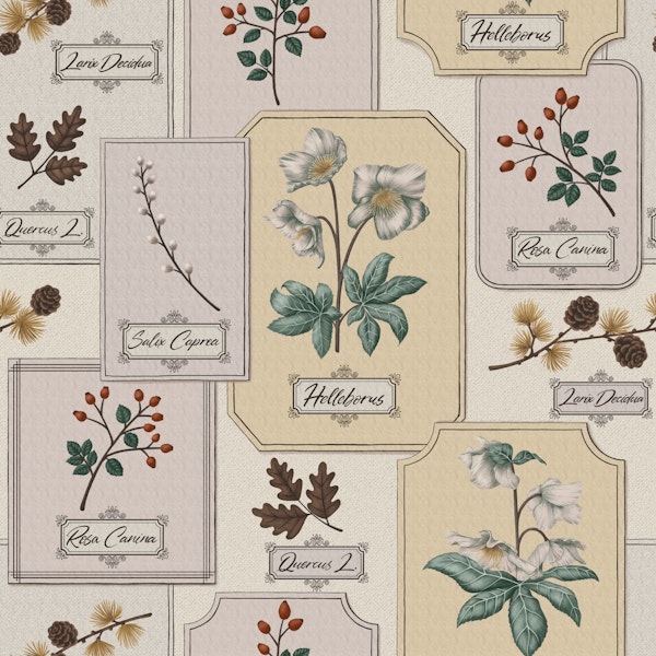Winter Herbarium