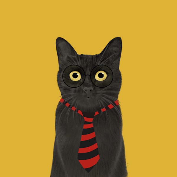 Hipster Black Cat With Glasses