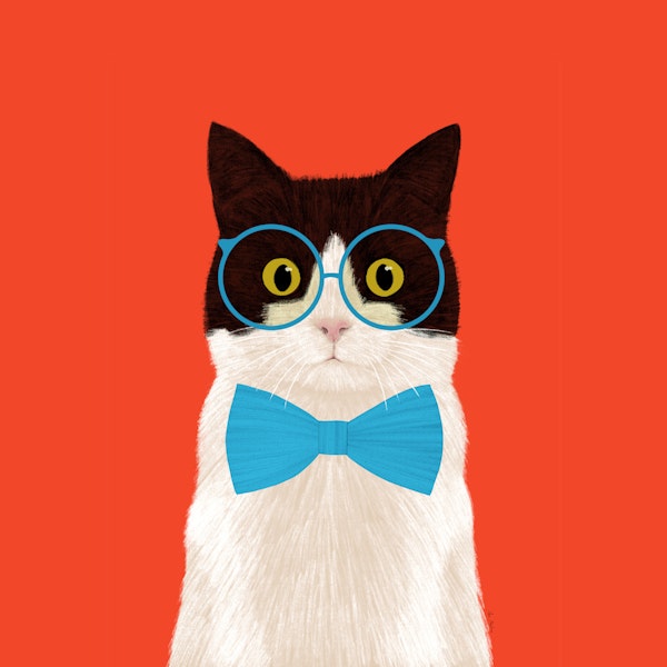 Cat With Glasses And Blue Bowtie