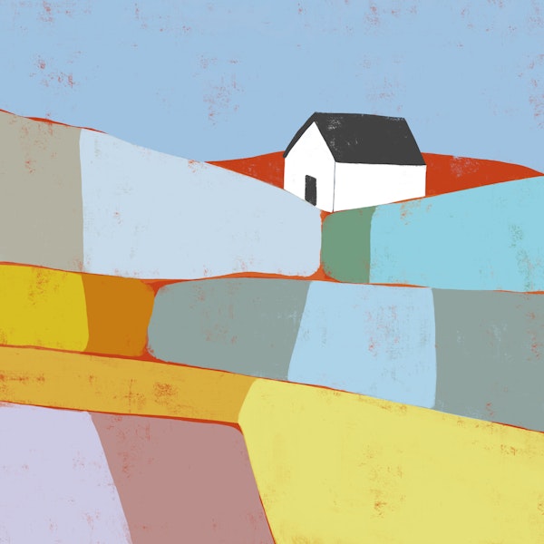 Minimal Farmhouse on Color Fields