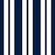 Navy Blue and White Classic Vertical Stripes
