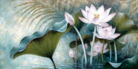 Misty Lotus Bloom tapety