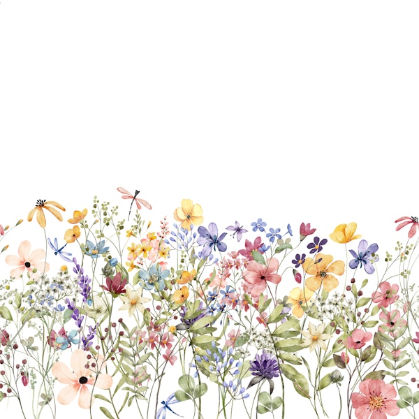 Watercolor Wildflower Border