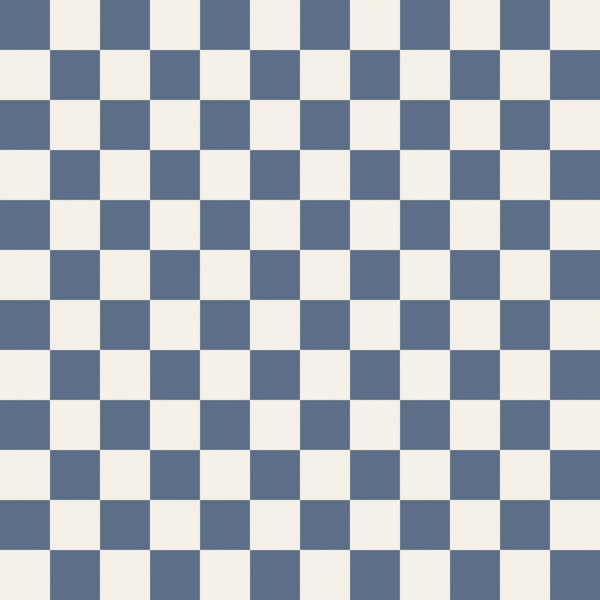 Coastal Blue Checkered Grid