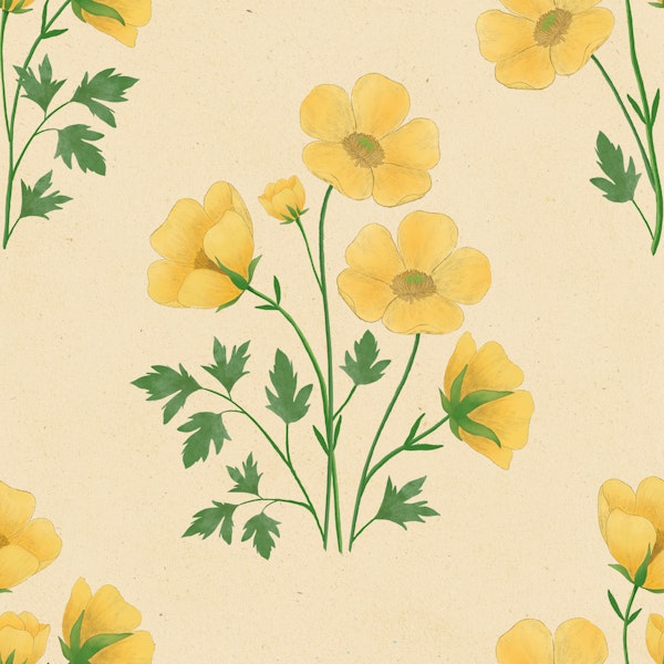 Vintage Buttercup Flowers