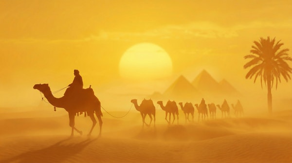 Desert Caravan at Golden Sunset
