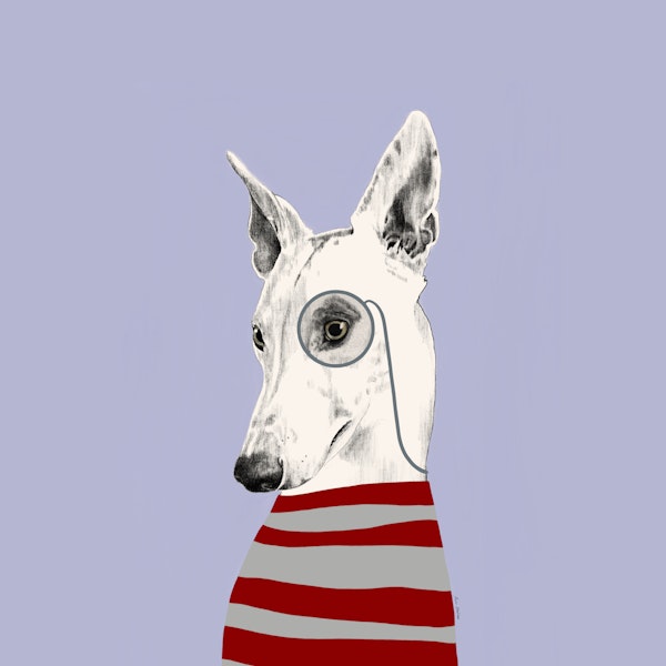 Greyhound With Monocle
