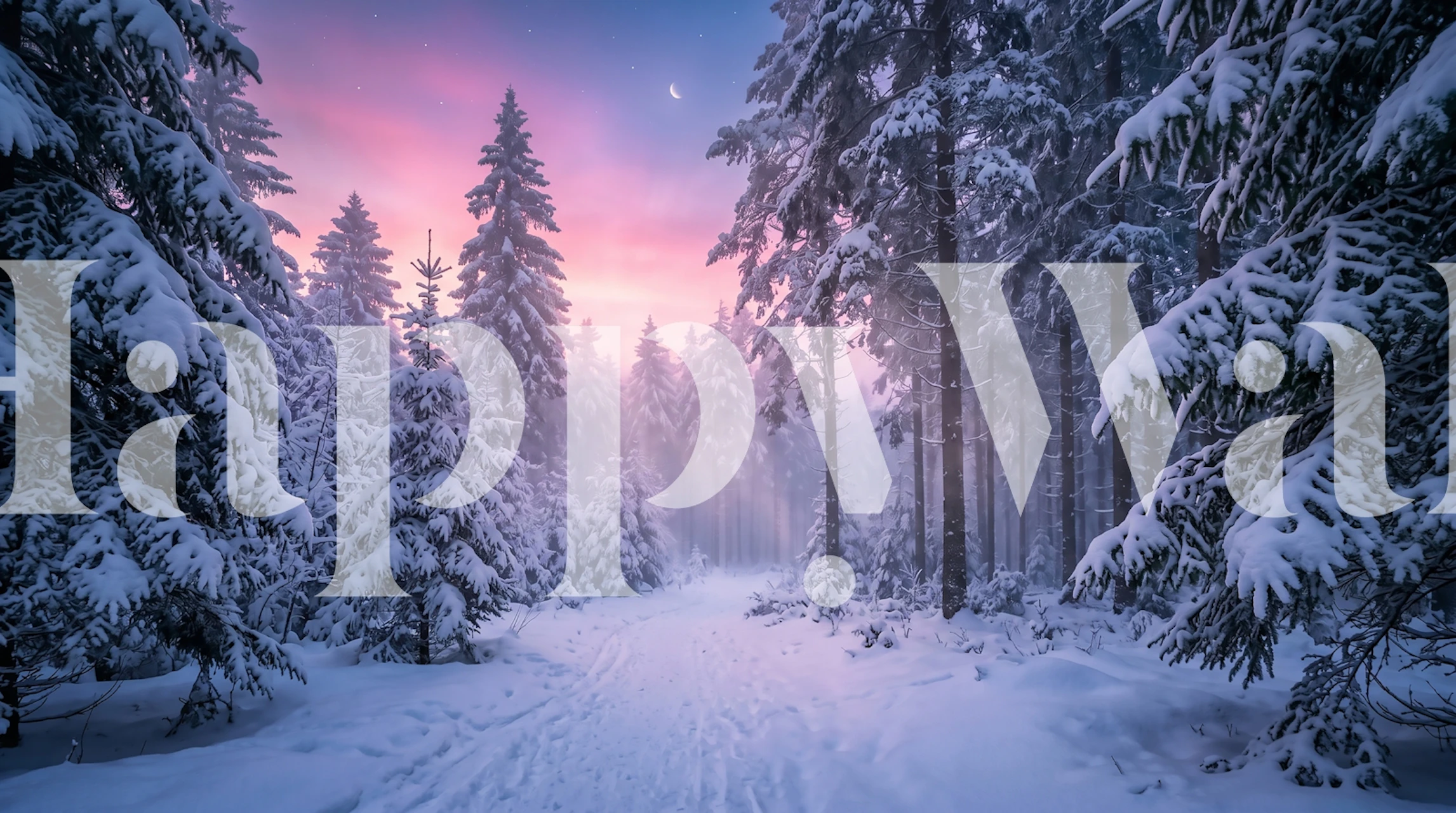 Snowy pine forest wallpaper in a living room