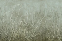 Sea Fans - Ocean Brine behang