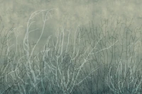 Sea Fans - Glacial Waters behang