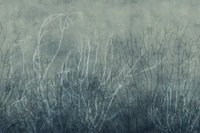 Sea Fans - Deep Lake behang